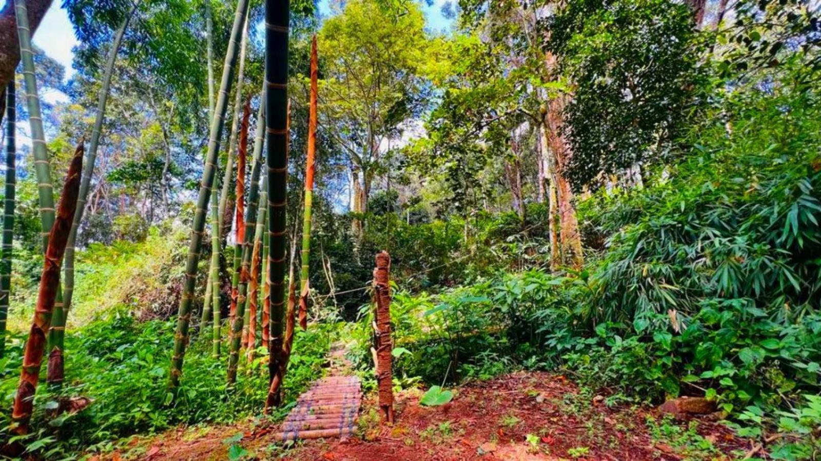 Bamboo Dale Resort, Munnar Eksteriør bilde