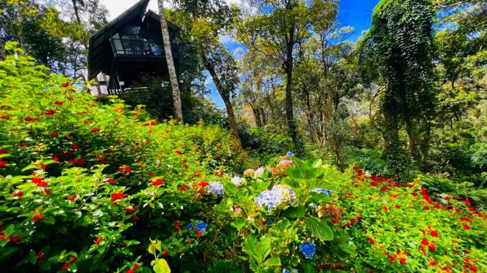 Bamboo Dale Resort, Munnar Eksteriør bilde