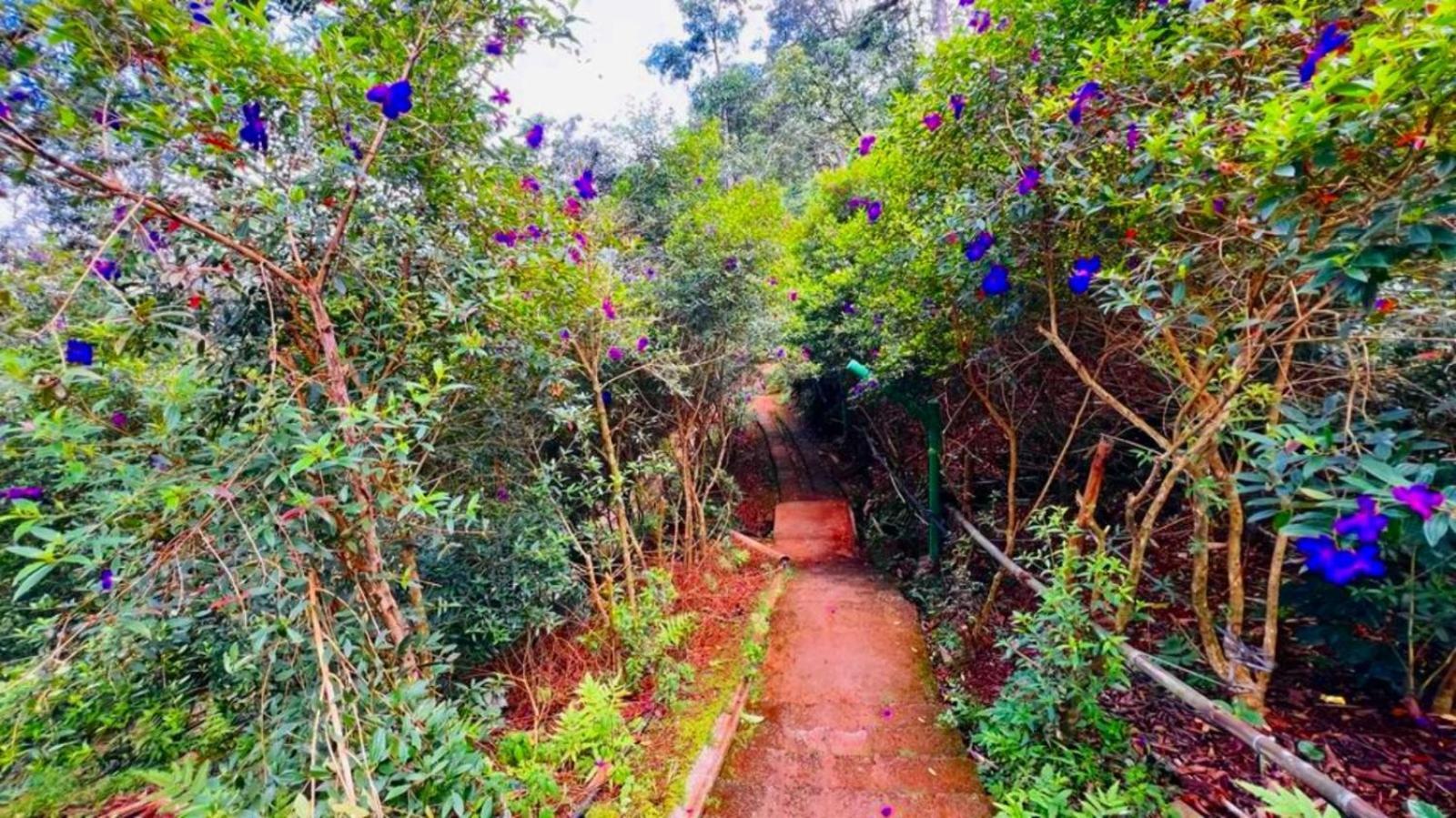 Bamboo Dale Resort, Munnar Eksteriør bilde