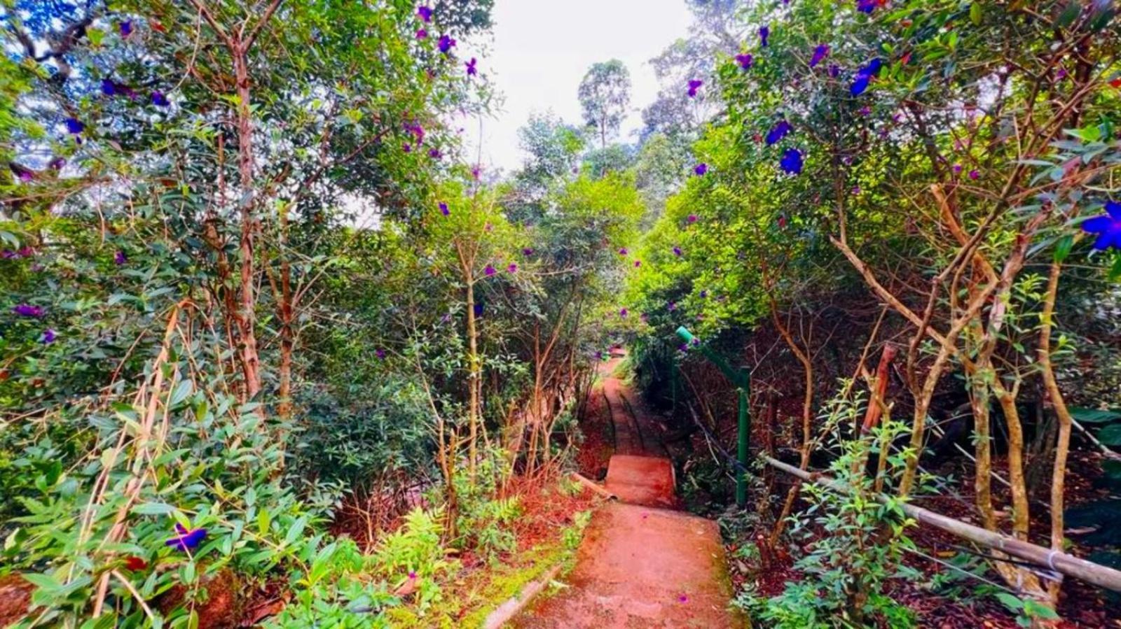Bamboo Dale Resort, Munnar Eksteriør bilde