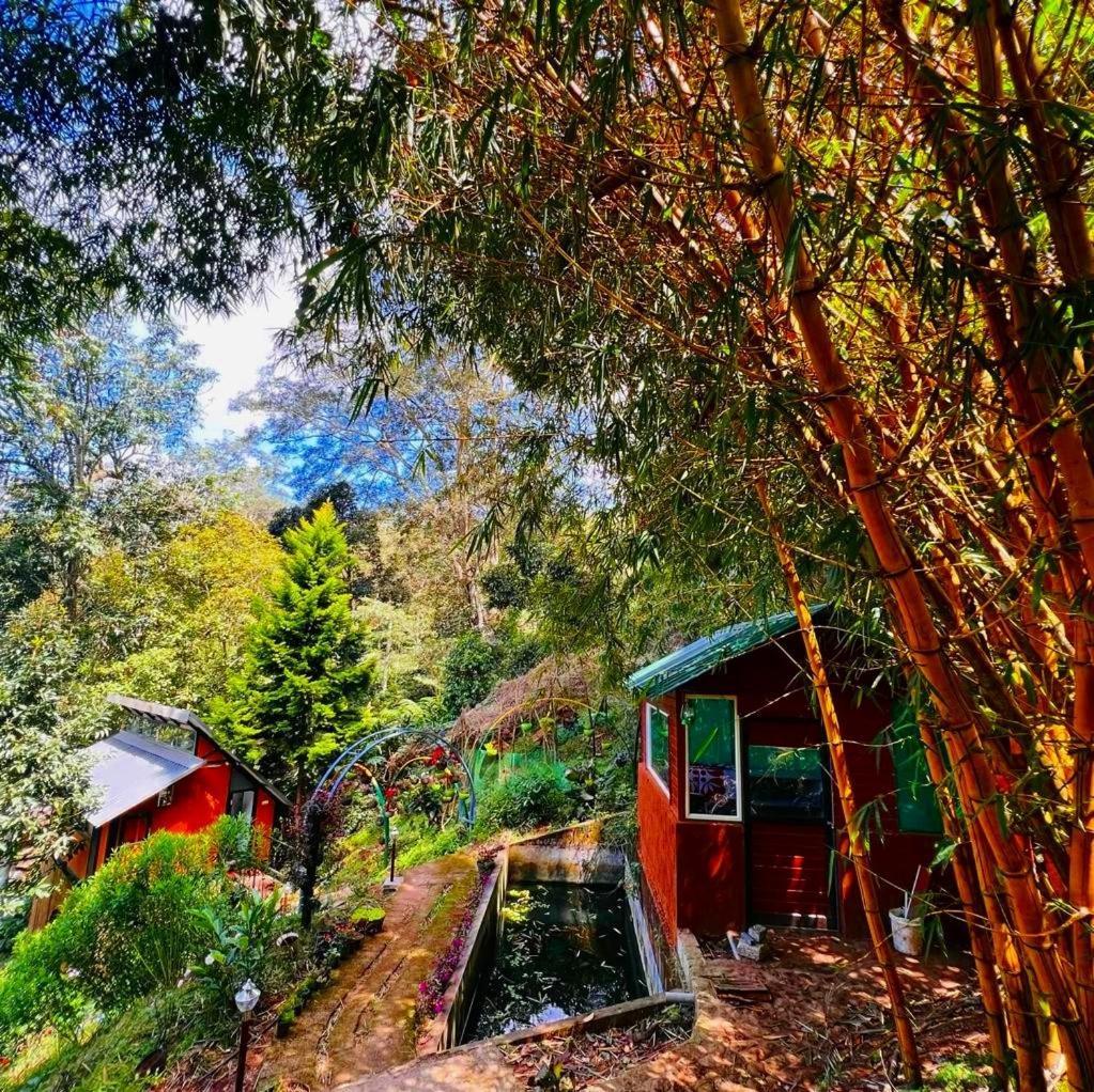 Bamboo Dale Resort, Munnar Eksteriør bilde