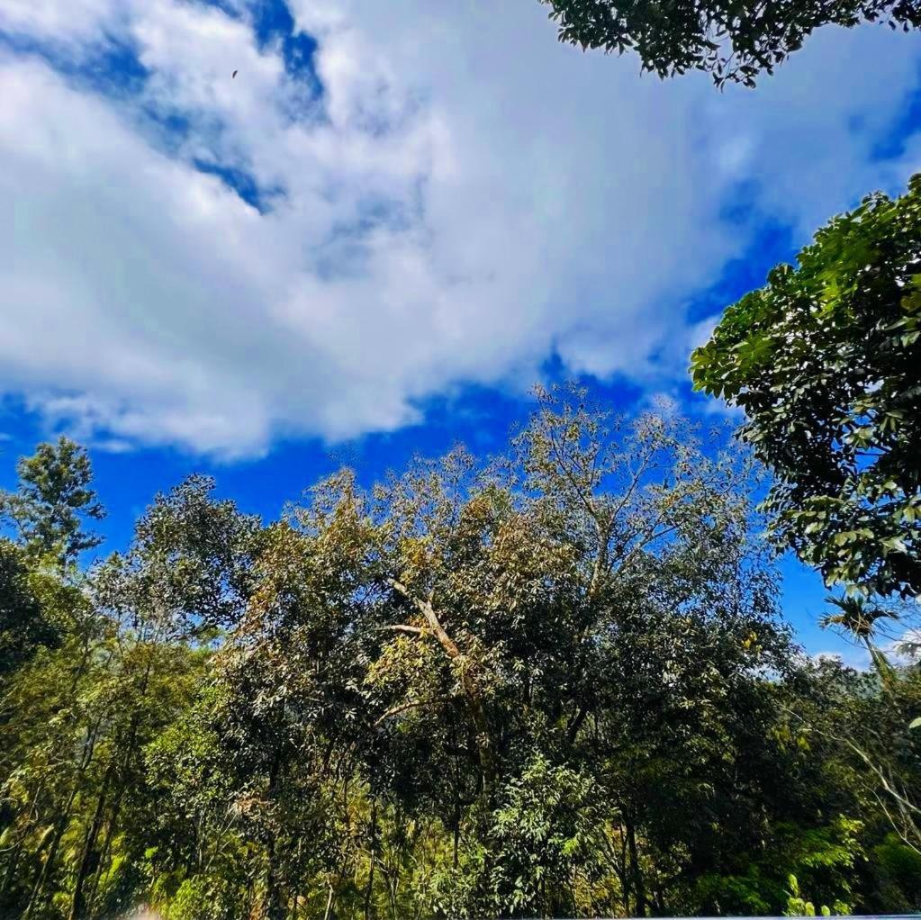 Bamboo Dale Resort, Munnar Eksteriør bilde