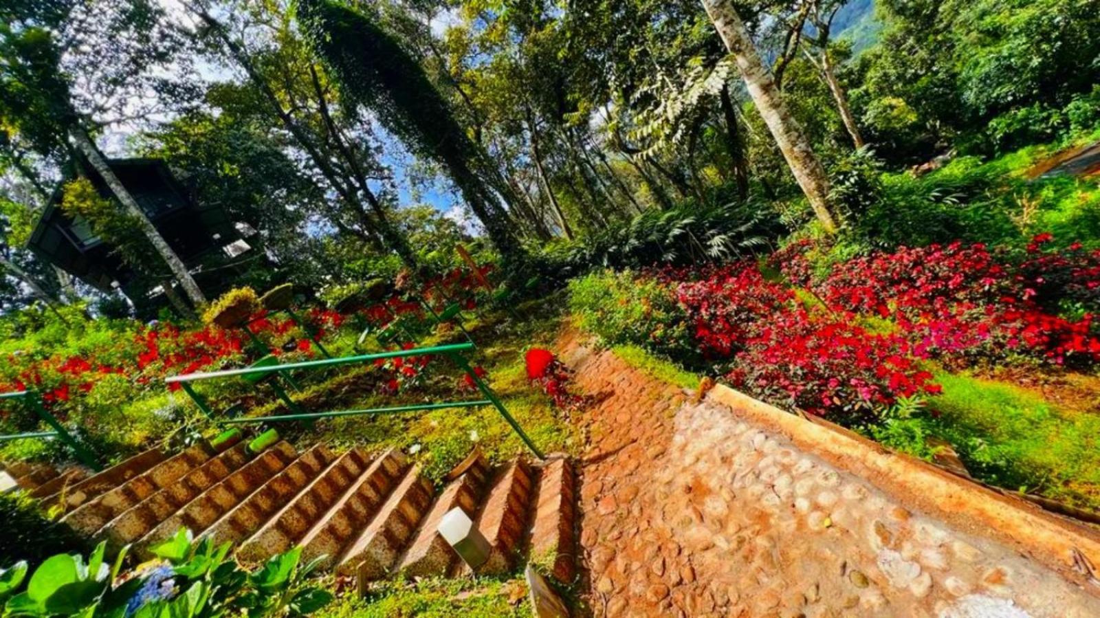 Bamboo Dale Resort, Munnar Eksteriør bilde