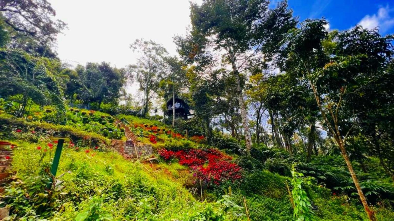 Bamboo Dale Resort, Munnar Eksteriør bilde