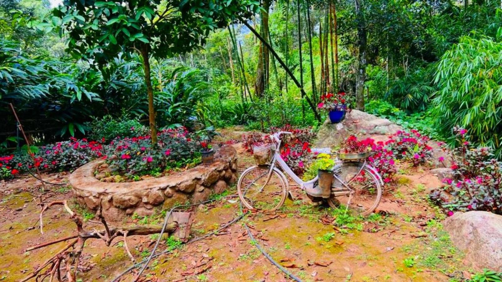 Bamboo Dale Resort, Munnar Eksteriør bilde