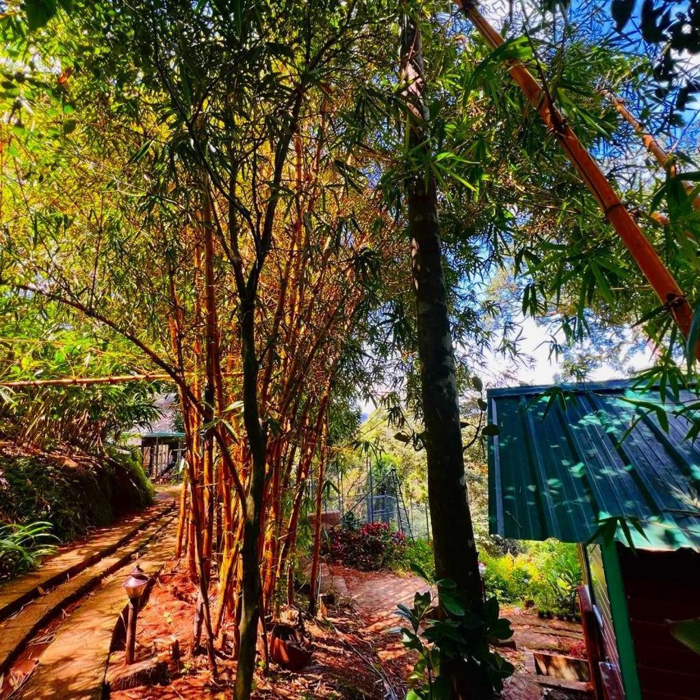 Bamboo Dale Resort, Munnar Eksteriør bilde