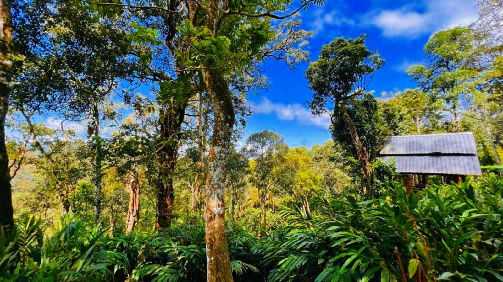Bamboo Dale Resort, Munnar Eksteriør bilde