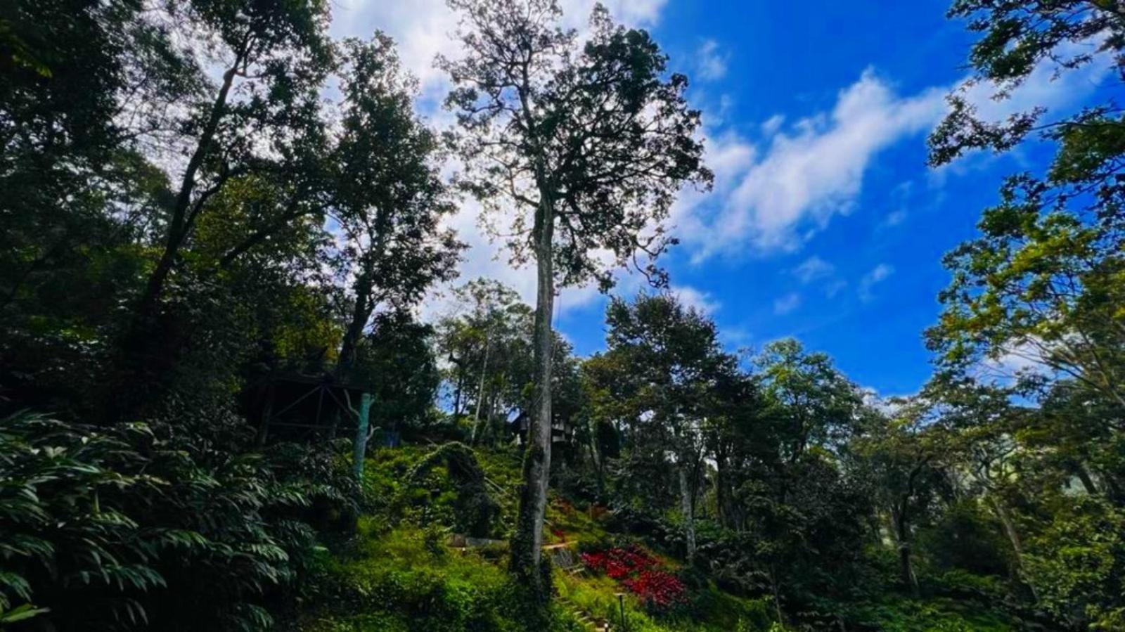 Bamboo Dale Resort, Munnar Eksteriør bilde