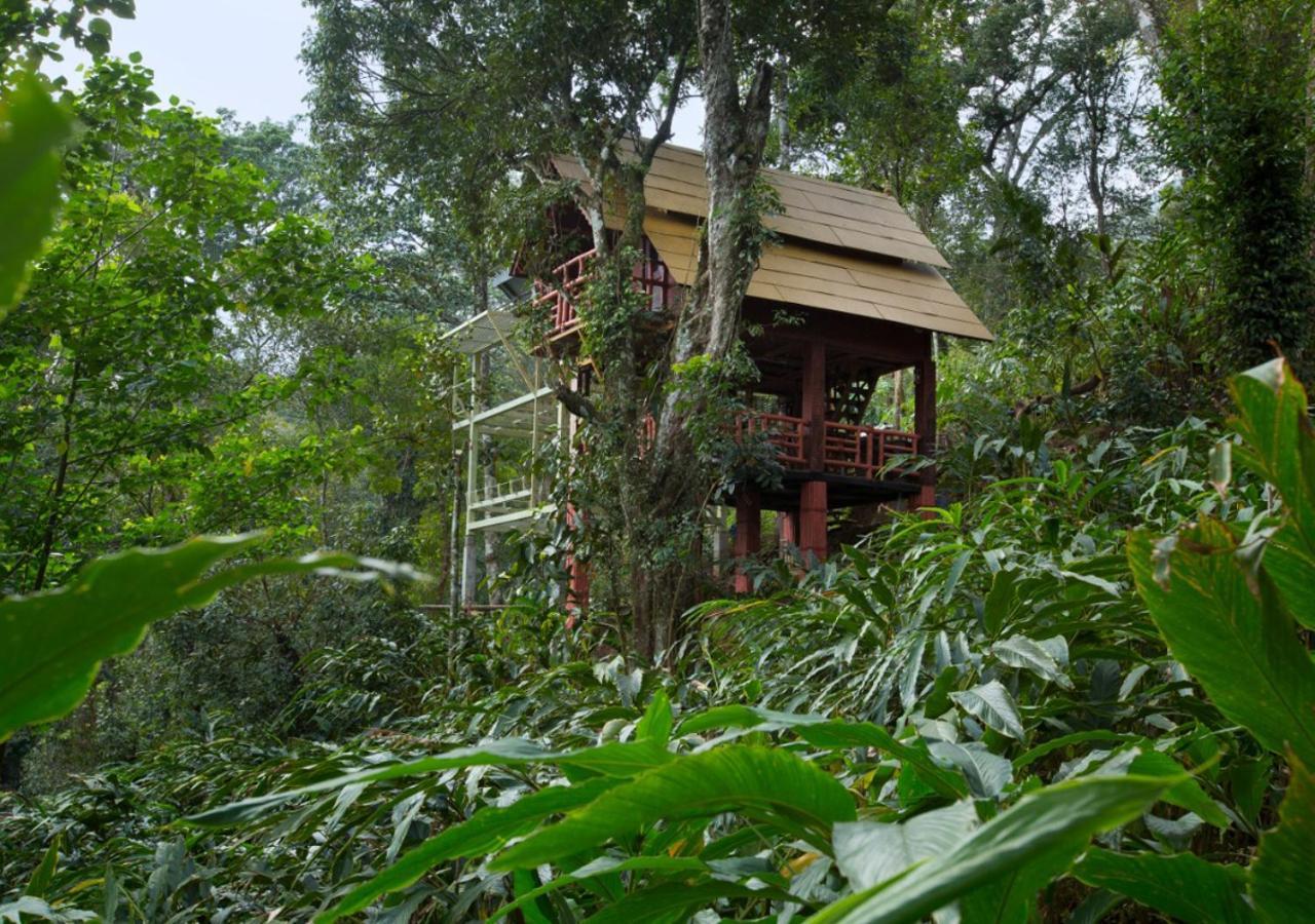 Bamboo Dale Resort, Munnar Eksteriør bilde